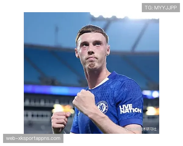 帕尔默是否为体系产物 战术适配与角色依赖度解析